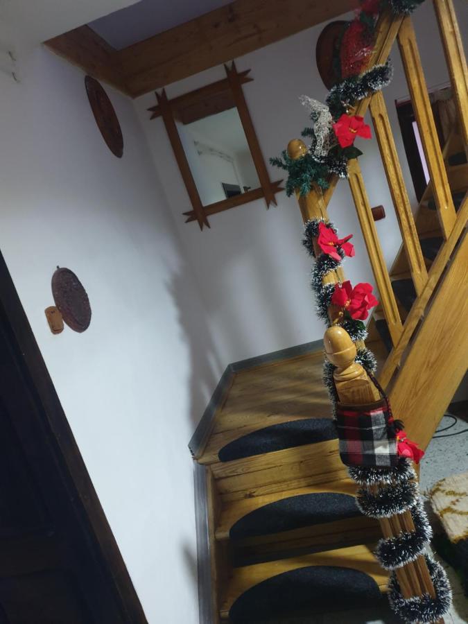 Vila Casa Roxana Viseu de Mijloc Exteriér fotografie