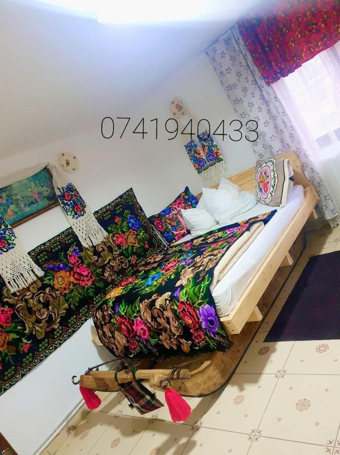 Vila Casa Roxana Viseu de Mijloc Exteriér fotografie