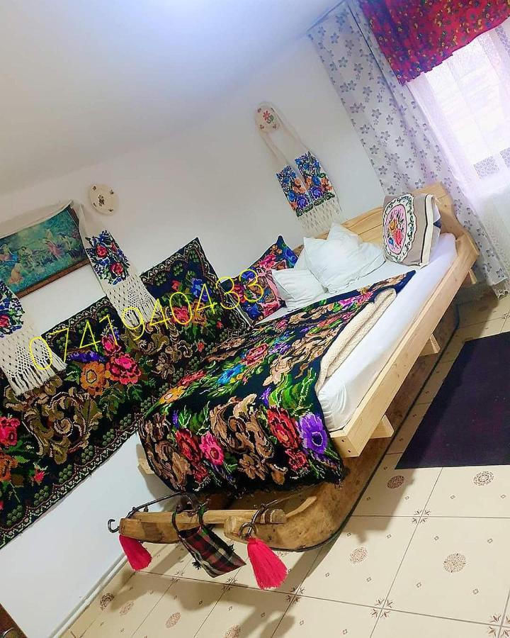 Vila Casa Roxana Viseu de Mijloc Exteriér fotografie