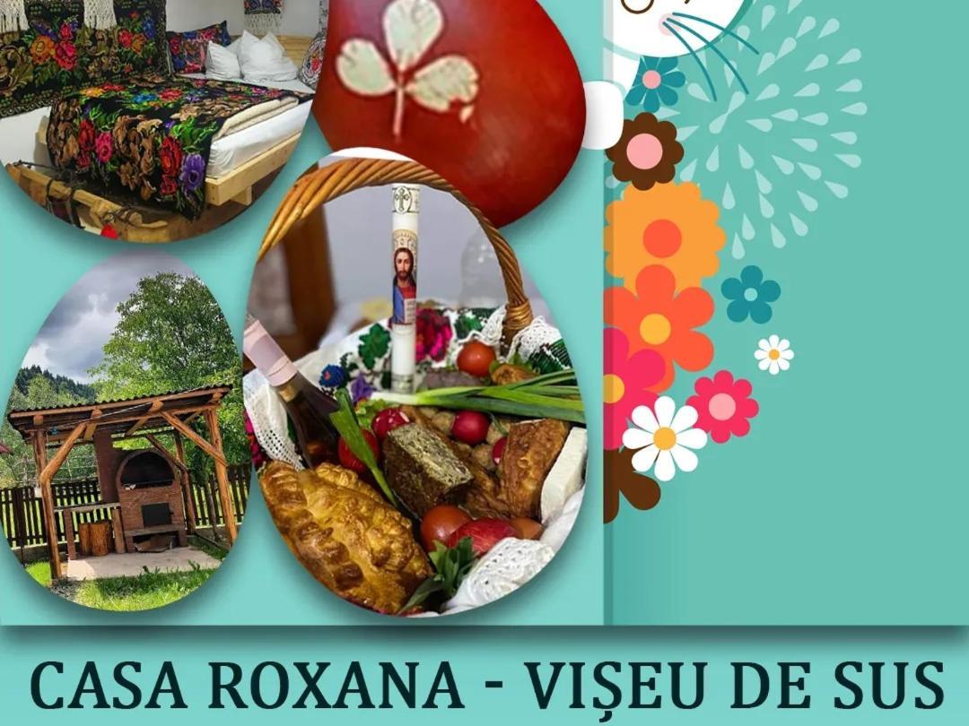 Vila Casa Roxana Viseu de Mijloc Exteriér fotografie