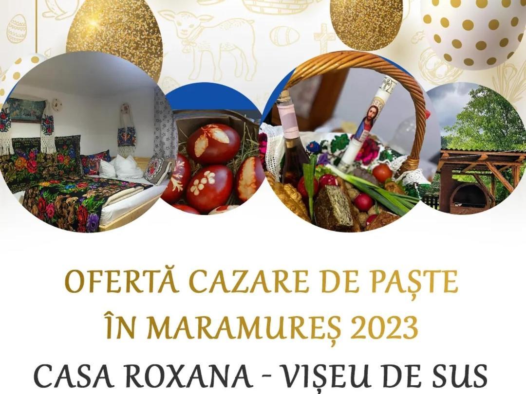 Vila Casa Roxana Viseu de Mijloc Exteriér fotografie