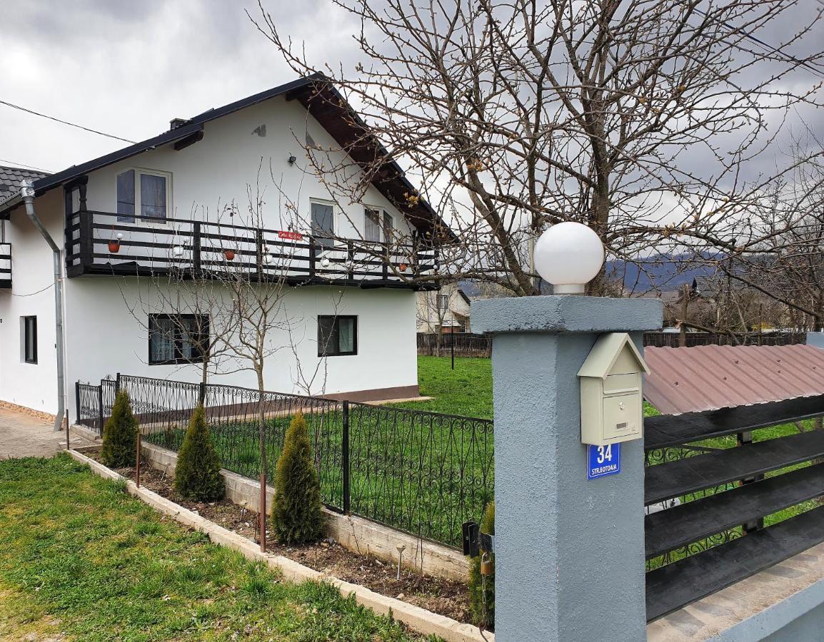 Vila Casa Roxana Viseu de Mijloc Exteriér fotografie