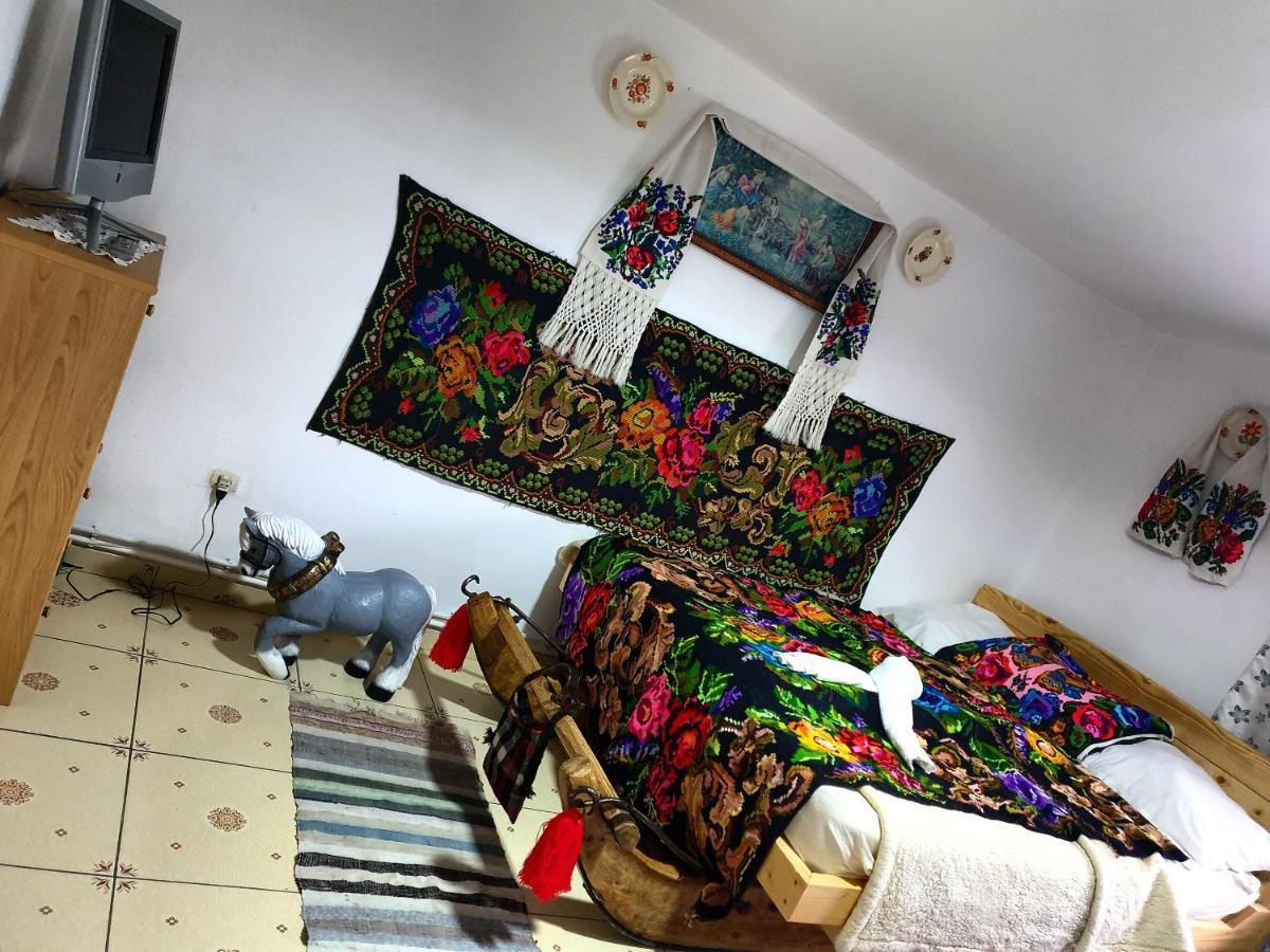 Vila Casa Roxana Viseu de Mijloc Exteriér fotografie