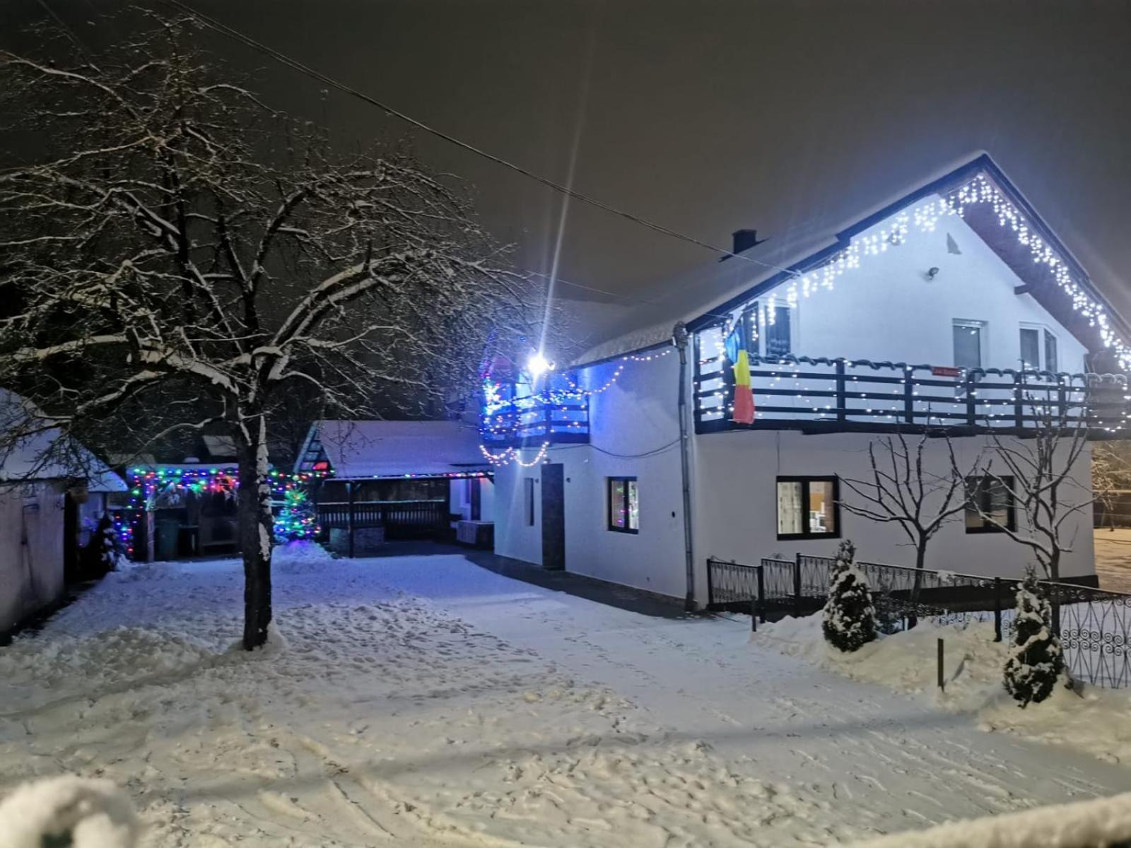 Vila Casa Roxana Viseu de Mijloc Exteriér fotografie