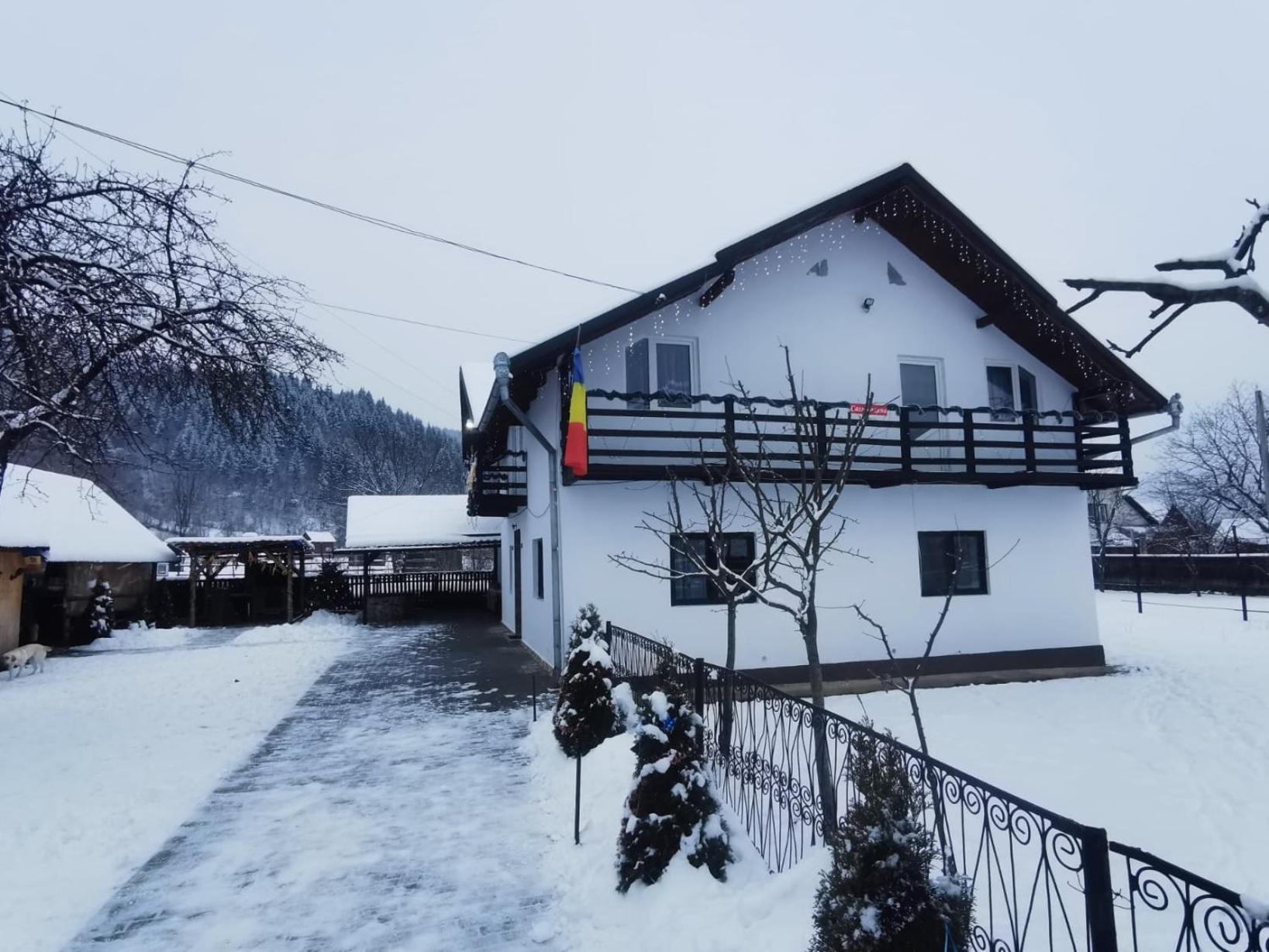 Vila Casa Roxana Viseu de Mijloc Exteriér fotografie