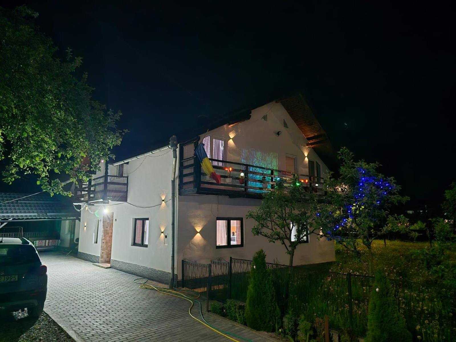 Vila Casa Roxana Viseu de Mijloc Exteriér fotografie