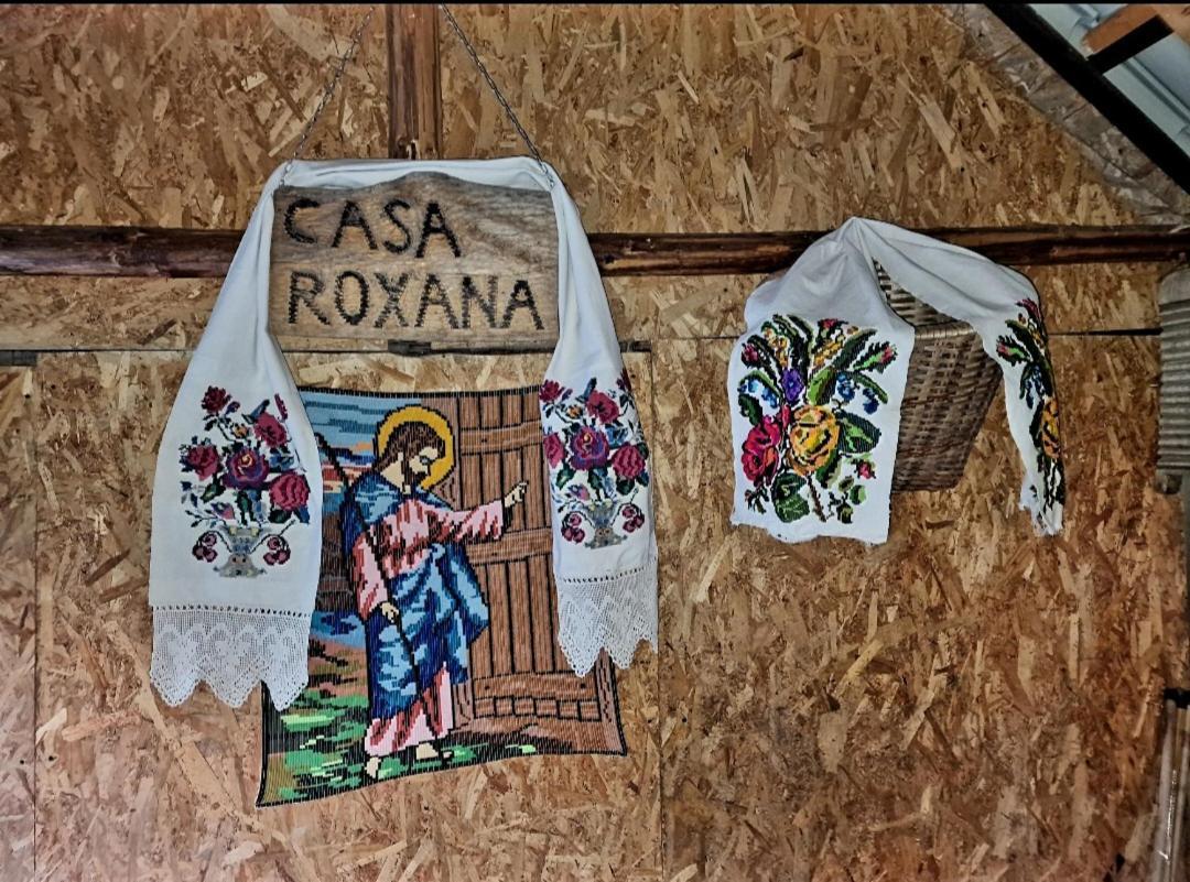 Vila Casa Roxana Viseu de Mijloc Exteriér fotografie