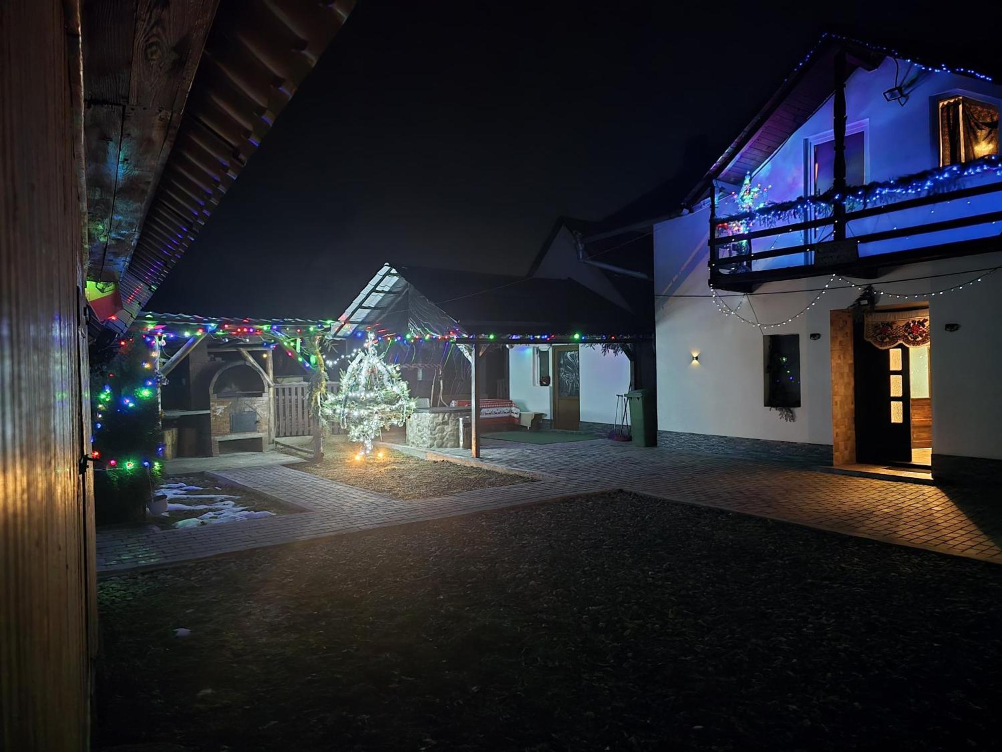 Vila Casa Roxana Viseu de Mijloc Exteriér fotografie